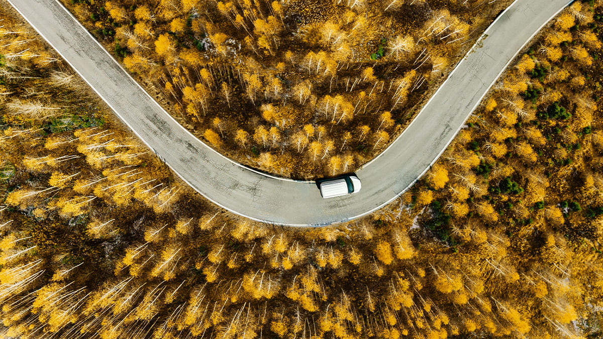 Aurimentum Marktbericht